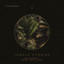 Jungle Stories