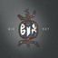 Bix-ray cover