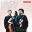 Piano Trio No. 31 in G Major, Hob. XV:32: II. Allegro cover