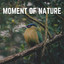 Moment of Nature cover