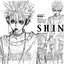 s h i n