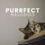 Purrfect Melodies cover