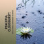 Peaceful Cloudburst: Rain & Thunder Surrounding the Marsh cover