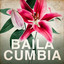Baila Cumbia cover