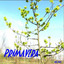 Unknown Title cover