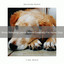 Stress Relieving Leaves Noises Especially For Home Dogs cover