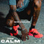 Wiz Khalifa - The Calm