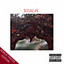Realm (Bonus Tracks Edition) cover