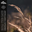 Remulak,Dirty Hairy - Roll The Oats