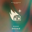 Shake - Extended Mix
