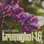 Chờ Người cover