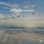 The Calming Effect of Ocean Music cover