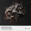 CVNSUMED — OP4 cover art