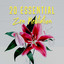 20: Essential Zen Meditation cover