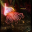 Gumnut — Fungal Bloom cover art