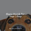 Sleepy Sounds For Dogs | Sleep cover