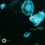 Cyan - Windom R Remix