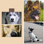 Excellent Tenor Sax Jazz - Ambiance for Best Behaved Dogs cover