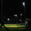 Nightly - Angel In The Outfield