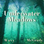 Underwater Meadows cover