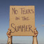 Homegrown Trio - no tears in the summer