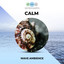 Calm Wave Ambience cover