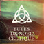 Tubes De Noël Celtique cover