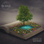 Oasis Of Life