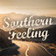 Southern Feeling cover
