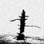 The Hanged Man cover