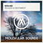 Reason & Sentiment - Extended Mix