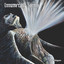Innumerable Forms - Indignation