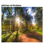 Pitches of the Timbers cover