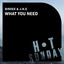 What You Need - Extended Mix
