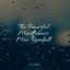 The Powerful Mindfulness Mix: Rainfall cover