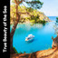 True Beauty of the Sea cover