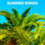 Summer Songs Mix: BBQ, Country & Beach Party Hits cover