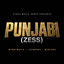 FULL ON PUNJABI - GENERIC - FAST ID4