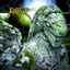 Rage Official - Rage - Deep in the Blackest Hole