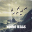 Young Birds - Extended Mix