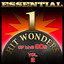 Essential One-Hit Wonders of the 90s-Vol.2 cover