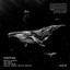 Whale Dance
