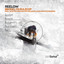 Red Panther - Alex Piccini & David Delgado Remix