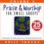 Praise & Worship for Small Groups (Whole Hearted Worship), Vol. 4 [Split Tracks] cover