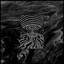 Olivier Cong — The Emotion cover art