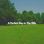 A Perfect Day in The Hills cover
