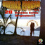 Unknown Title cover
