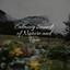 Calming Sounds of Nature and Rain cover