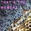 raymond j lustig - that's the moment