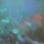 Between Wings and Water - Alanna Crouch, Jonn
